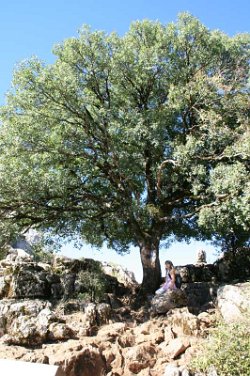 El-Torcal-05.09.14--(31)