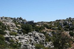 El-Torcal-05.09.14--(45)